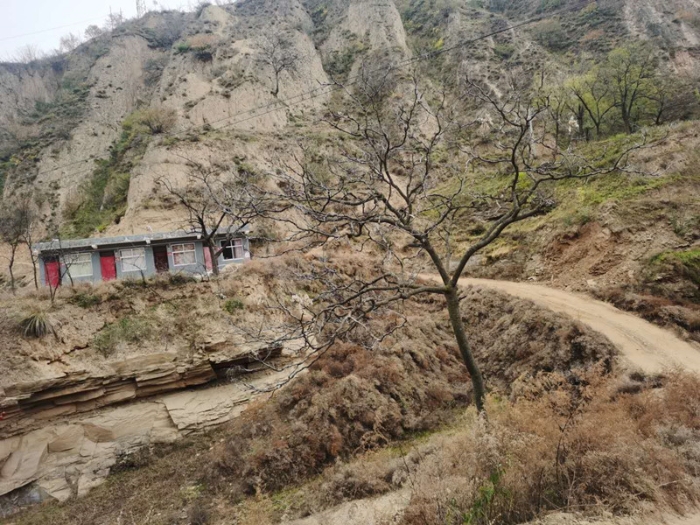 微信图片_20201117101533