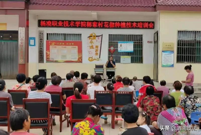 富平法院邀请杨凌职业技术学院教授为包联村群众开展花椒种植技术培训会