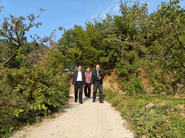 微信图片_2025-11-07_103522_981 微信图片_2025-11-07_103522_981